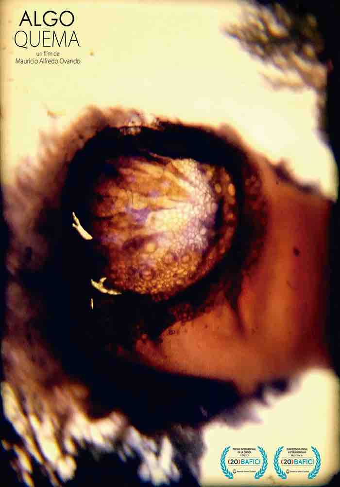 Algo quema   afiche %28bc%29