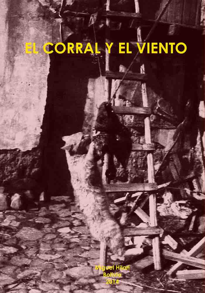 Ecyev   afiche %28bc%29