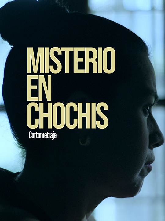 Chochis poster sp