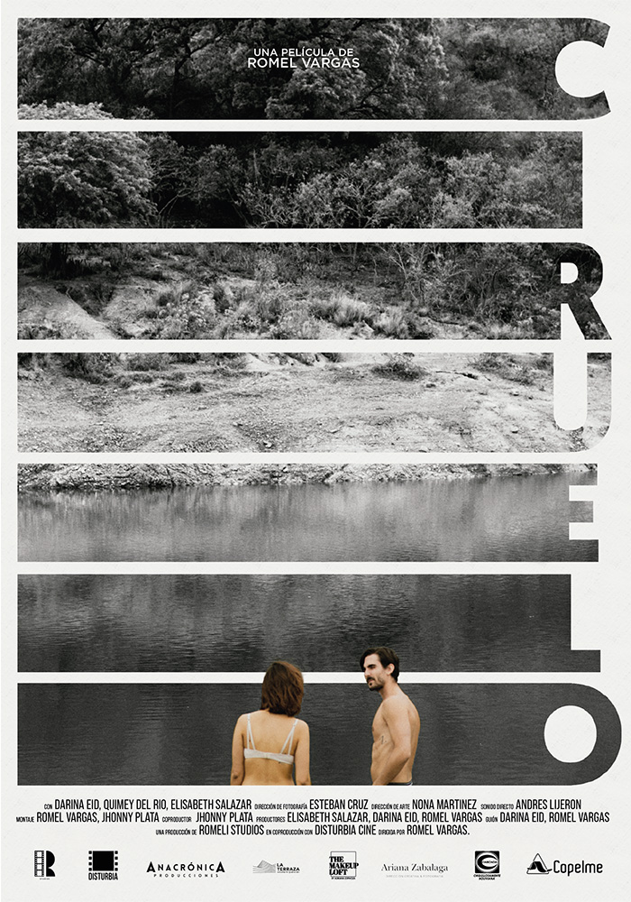 Cartel arte ciruelo